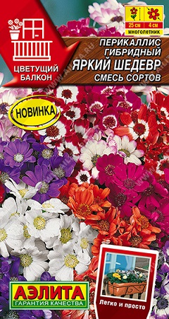 Цветы Перикаллис Яркий шедевр, смесь сортов 30 шт ц/п Аэлита (комн.)